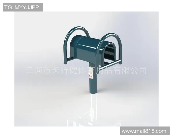 运动健身器材批发:运动健身器材批发市场的趋势与商机